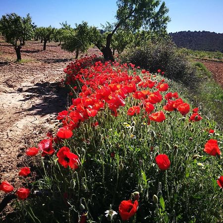 Cortijo Los Soledad El Sauco Exteriör bild