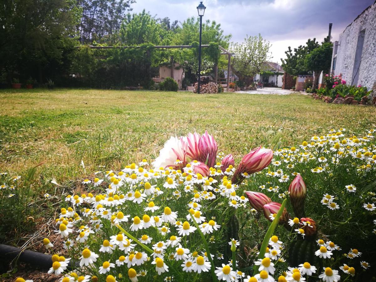Cortijo Los Soledad El Sauco Exteriör bild
