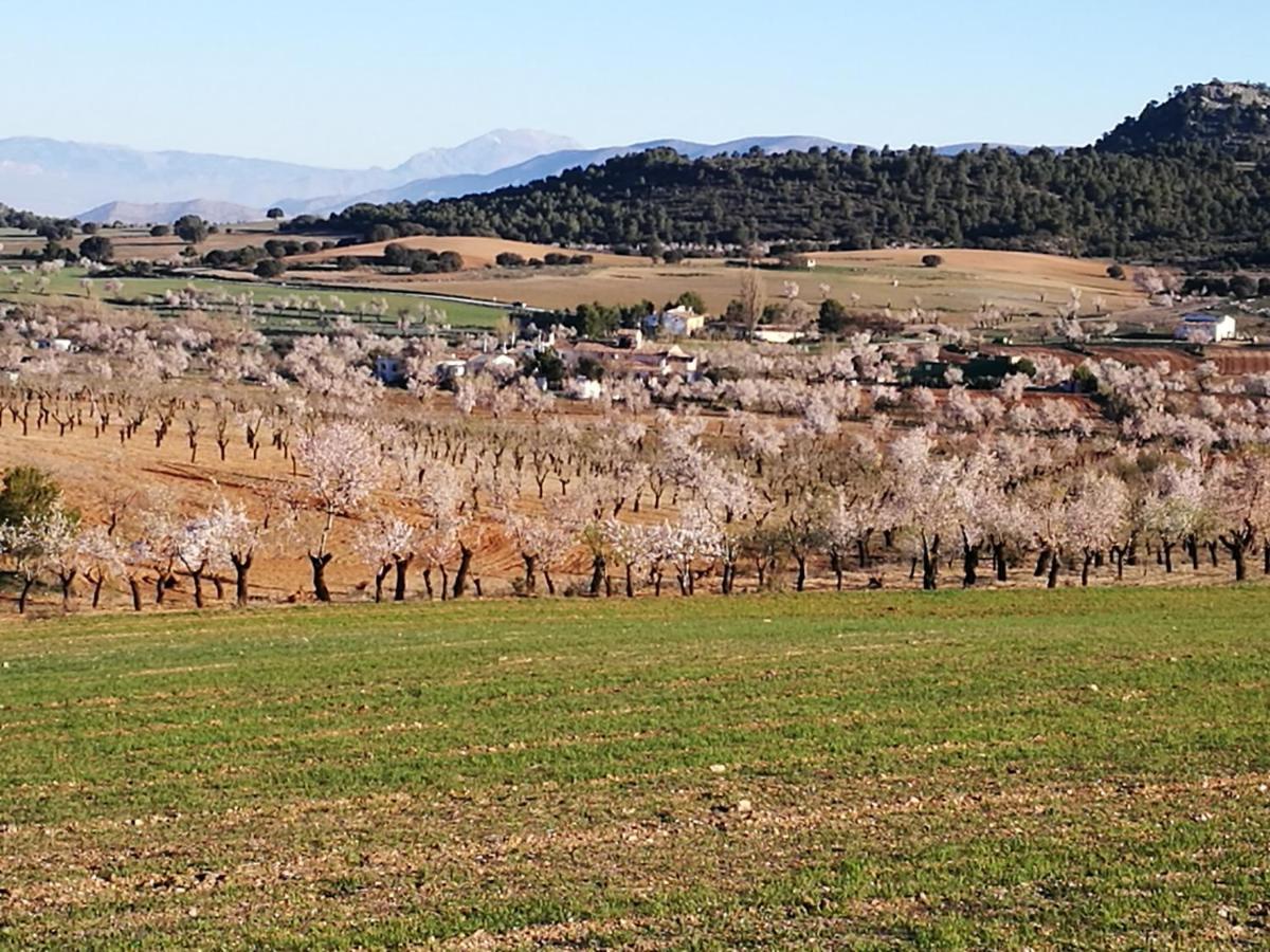 Cortijo Los Soledad El Sauco Exteriör bild