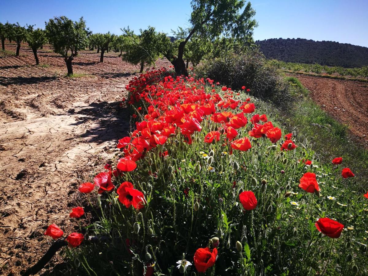 Cortijo Los Soledad El Sauco Exteriör bild