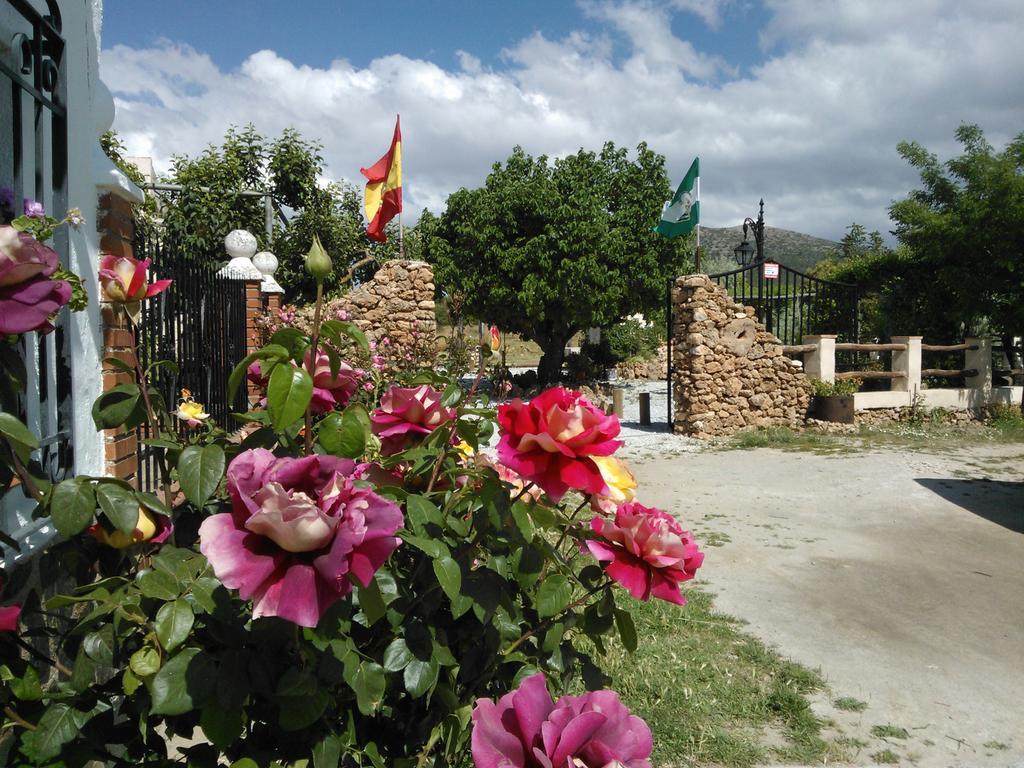 Cortijo Los Soledad El Sauco Exteriör bild