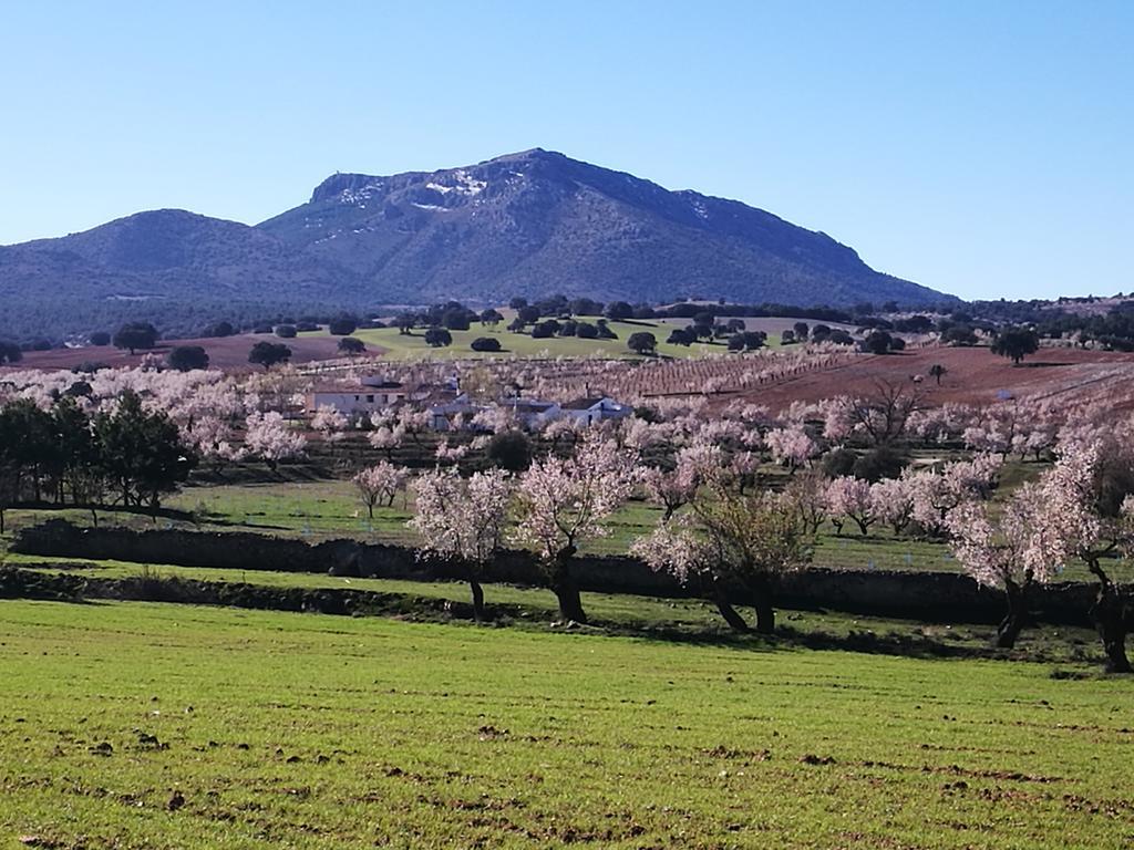 Cortijo Los Soledad El Sauco Exteriör bild
