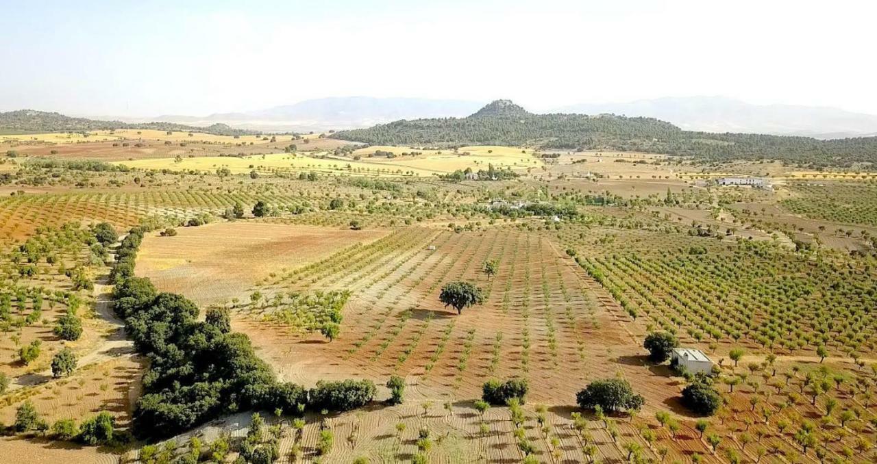 Cortijo Los Soledad El Sauco Exteriör bild